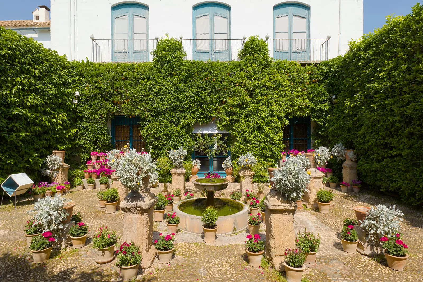 A patio at the Palacio de Viana with potted pink geraniums around a small fountain and clipped green walls